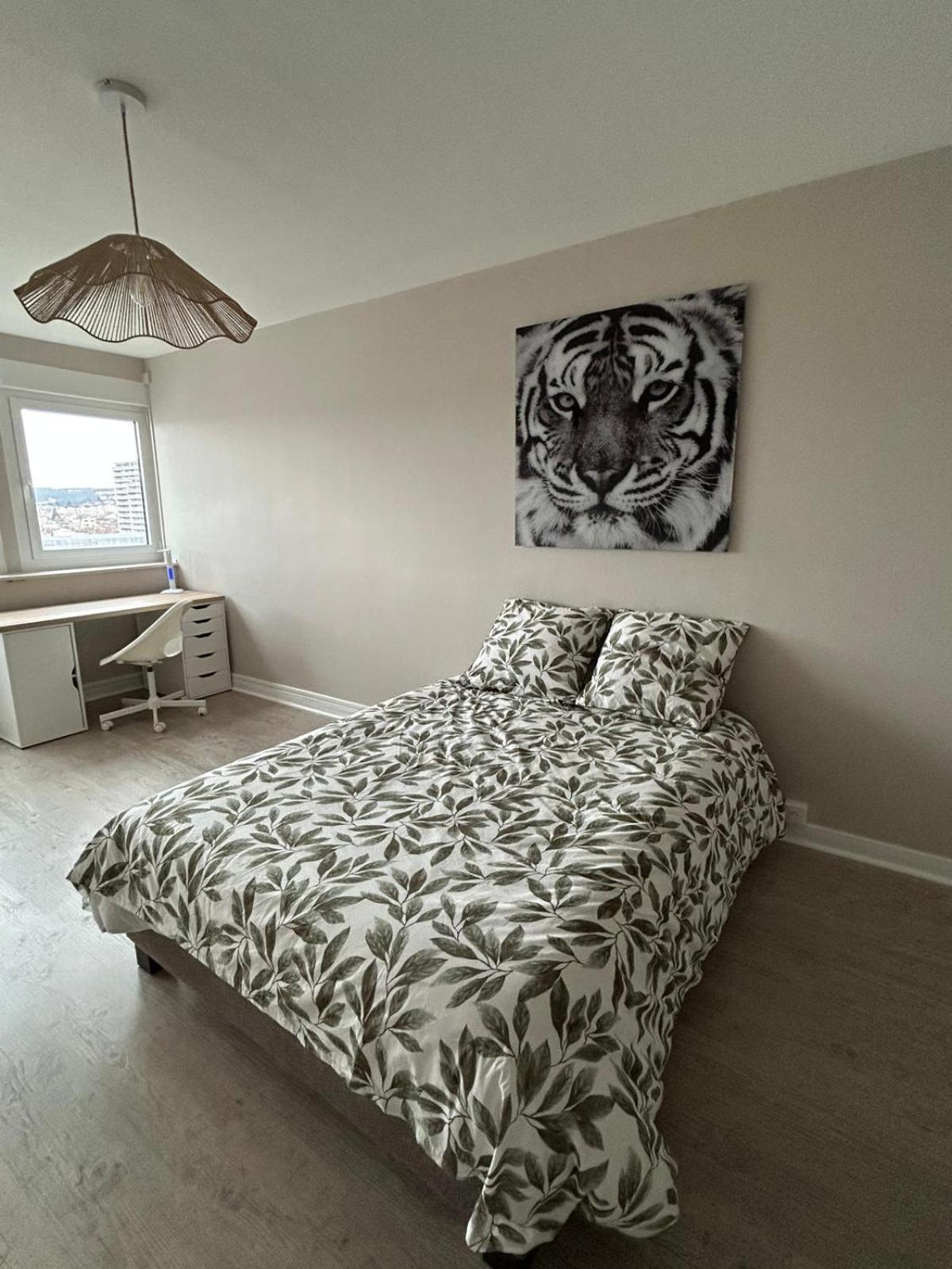 Confort A Appartement Nancy